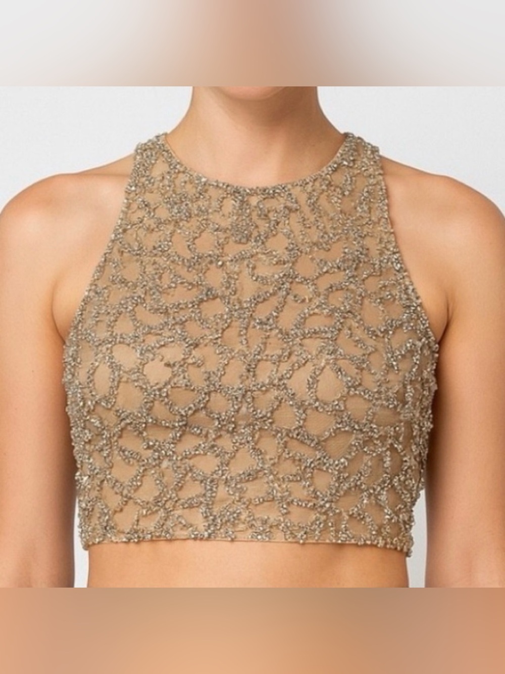 Beaded Nude Halter Crop Dress Top